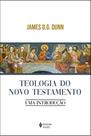 Livro - Teologia do Novo Testamento