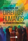 Livro - Teoria Geral dos Direitos Humanos - 8ª Edição 2024