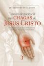 Livro - Tesouro de paciência nas chagas de Jesus Cristo ou Consolação da alma atribulada nameditação das penas do Salvador Livro - Tesouro de paciência nas chagas de Jesus Cristo ou Consolação da alma atribulada nameditação das penas do Salvador