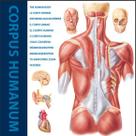 Livro - The human body