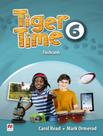 Livro - Tiger Time 6 Flashcards - 1St Ed - MACMILLAN BR & OUTROS IDIOMAS ESPECIAL