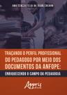 Livro - Traçando o perfil profissional do pedagogo por meio dos documentos da ANFOPE Livro - Traçando o perfil profissional do pedagogo por meio dos documentos da ANFOPE