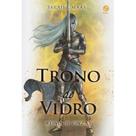 Livro - Trono de Vidro: Reino de Cinzas (Vol. 6)