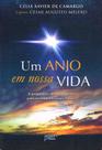 Livro - Um anjo em nossa vida