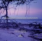 Livro - Um estreito chamado horizonte