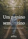 Livro - Um Menino sem Destino Livro - Um Menino sem Destino