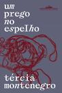 Livro - Um prego no espelho