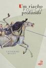 Livro - Um riacho pouco profundo Livro - Um riacho pouco profundo