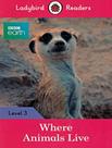 Livro - Where Animals Live - Book With Downloadable Audio - Level 3