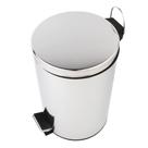Lixeira Inox Brilho com Pedal 12L - A/CASA