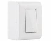 Lizflex Caixa 1 Interrup Simp 57304/001 Lizflex Caixa 1 Interrup Simp 57304/001