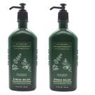 Loção Corporal Bath & Body Works Aromaterapia - Alívio do Estresse (190ml) Loção Corporal Bath & Body Works Aromaterapia - Alívio do Estresse (190ml)