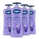 Loção corporal Vaseline Intensive Care Calm Healing, pacote com 4 unidades