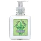 Loção Desodorante Corporal e Mãos Capim-Limão L Occitane Au Brésil 250ml