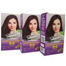 Locao restauradora progressiva palmindaya plus for woman 160ml kit com 3 roxo