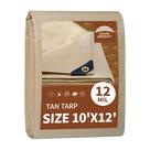 Lona RAINDEWAY 3x3,6 m Heavy Duty 12 Mil Tan à prova d'água