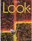 Look 5 workbook american