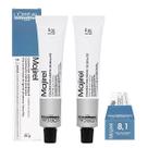Loreal Kit 2 Coloração Majirel 8.1 Louro Claro Acinzentado 50g