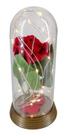 Luminária A Bela E A Fera A Rosa Encantada Luzes De Fada M