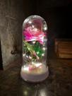 Luminária A Rosa Encantada A Bela E A Fera Perola Frio