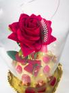 Luminária A Rosa Encantada de Luxo 33 cm por 18 cm Vidro com Base de Madeira Grande Presente para namorada