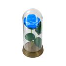 Luminária A Rosa Encantada Iluminada Presente para namorada