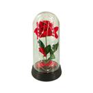 Luminária a rosa encantada luzes de fada a bela e a fera / o pequeno princípe