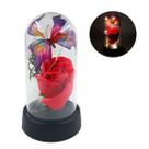 Luminária Cúpula Rosa E Borboleta Com Led Enfeite Decorativo