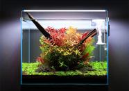 Luminária De Led P/aquarios De 30 A 40 Cm 12w Bivolt 24 Leds