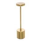 Luminária de mesa 35cm LED 3 Tons USB cosmo dourada plástico Wolff - 61823