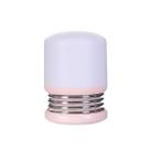 Luminária De Mesa Portátil Led Recarregável Usb Rosa Miniso