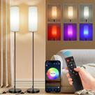 Luminária de piso FRIDEKO HOME 2 unidades RGB dimerizável com controle remoto