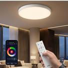 Luminária de Teto LED Inteligente Smart WiFi de Sobrepor 21W Ø30 cm Controle por App e Voz, com Alexa e Google Assistant, Plafon Ultrafino