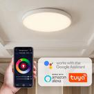 Luminária de Teto Plafon LED Inteligente Smart WiFi 24W Ø30 cm RGB Quente a Frio 2700K6500K, Controle por App e Voz, Compatível Alexa e Google