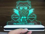 Luminária Decorativa com LED Pedagogia Coruja