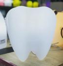 Luminária Dente Brilhante Super Cute