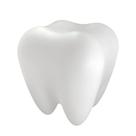 Luminária Dente Brilhante