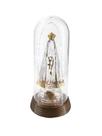 Luminária Imagem Nossa Senhora Aparecida Padroeira Do Brasil com Redoma Led Branco Quente