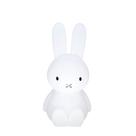 Luminária Infantil Miffy Decorfun