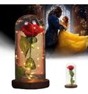 Luminária Led Rosa Com Cúpula De Vidro A Bela E A Fera