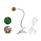 Luminaria Mesa 1 Bocal - É Ideal Para Servir Como Um Abajur / Desenvolvimento Das Plantas / Trabalhar em Escritório Luminaria Mesa 1 Bocal - É Ideal Para Servir Como Um Abajur / Desenvolvimento Das Plantas / Trabalhar em Escritório