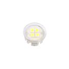 Luminária Mini Point Pontual Translúcida Circular 6000k Branco Frio Com 4 Super Leds Bivolt Nuze