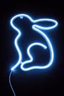 Luminária Neon LED Decorativa de Páscoa Diversos Modelos Cores