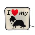 Luminária Pastor de Shetland Pet Cachorro Led Abajur Mesa 3D com Fonte