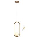 Luminaria Pendente Teto Oval Arco Jabuticaba Dourado + Led