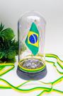 Luminária Redoma / Cúpula com Bandeira do Brasil Luzes de LED Frio Luminária Redoma / Cúpula com Bandeira do Brasil Luzes de LED Frio
