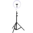 Luminária Ring Light 26cm com suporte para celular e tripé - Desconhecido Luminária Ring Light 26cm com suporte para celular e tripé - Desconhecido