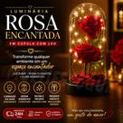 Luminária Rosa Decorativa em Cúpula Luminária Rosa Decorativa em Cúpula