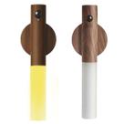 Luminaria Sensor Presença Movimento Kit 2 Uni Usb Recarregavel Iluminaçao Decoraça Casa predio Multiuso Luminaria Sensor Presença Movimento Kit 2 Uni Usb Recarregavel Iluminaçao Decoraça Casa predio Multiuso