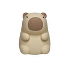 Luminária Soft Led Taschibra Capybara 0,5w Recarregável